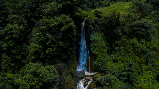 Sustainability Through Tradition: the Relationship Between Mayan Culture and Nature