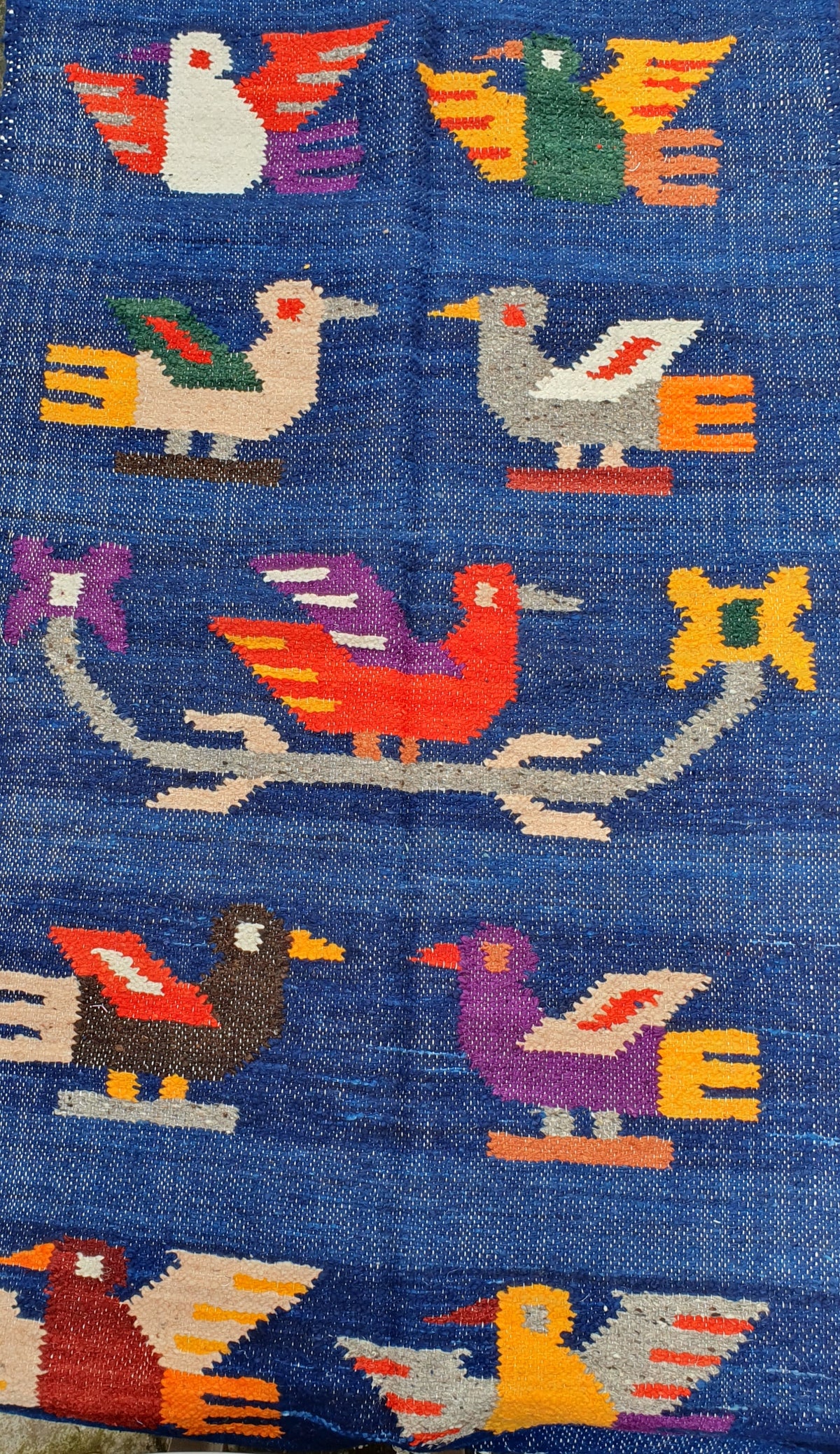 Alfombra grande - Pájaros