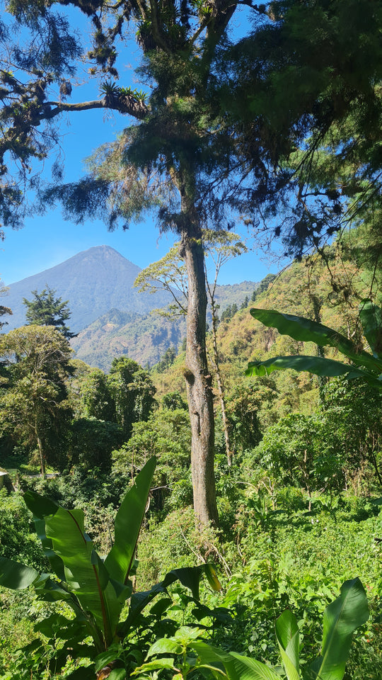 Guatemala: The Land of Volcanoes 🌋