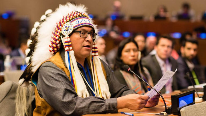 The 21st Session of the Permanent Forum on Indigenous Issues