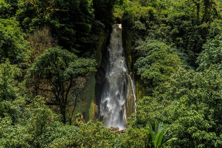 Coffee Farmers and Waterfalls